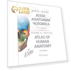 Foreign Language Book. Атлас анатомии человека. 7-е издание. Неттер Ф.