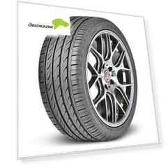 Шина Delinte DH2 215/60 R17 100H