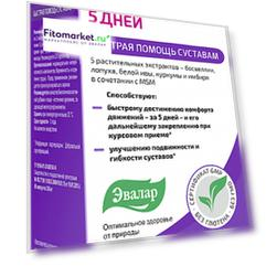 Артромаксимум 5 дней, 60 капсул, Эвалар