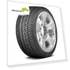 Шина Delinte DS8 265/50 R19 110Y