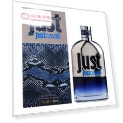 Just Cavalli 2013 Him