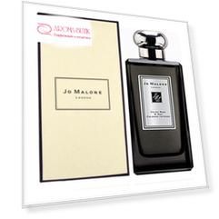 Velvet Rose & Oud