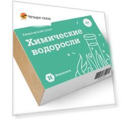 Опыт химический «Химические водоросли» 6+