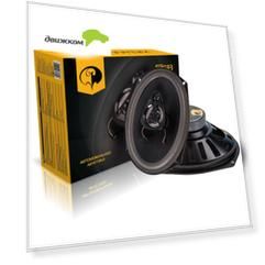 Акустика PHANTOM FS-693 16,3x23,5см 100Вт