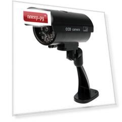 Муляж камеры Rexant RX-309 45-0309