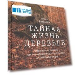 Тайная жизнь деревьев Что они чувствуют как они общаются - открытие сокровенного мира