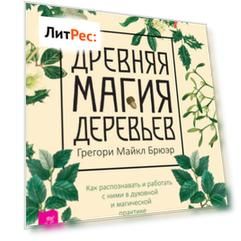 Древняя магия деревьев. Как распознавать и работать с ними в духовной и магической практике