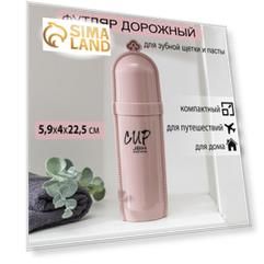 Футляр для зубной щётки и пасты «Королевский», 22,5 см, цвет МИКС