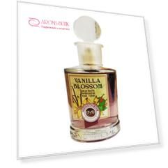 Vanilla Blossom