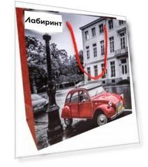 Пакет подарочный ламинированный, 250х250 мм. (Q25-009)