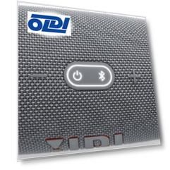 Колонка портативная 1.0 (моно-колонка) JBL Charge 5 Серый