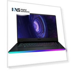 MSI GE66 Raider 10UH-417RU