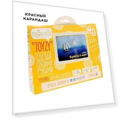 Набор Toyzy "Корабль в море" картина шерстью А4