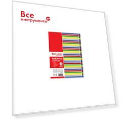 Пластиковый разделитель BRAUBERG 225624