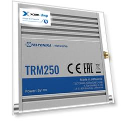 Модем Teltonika Networks TRM250 LTE cat.1/NB-IoT/EGPRS, SMA, miniSIM, USB