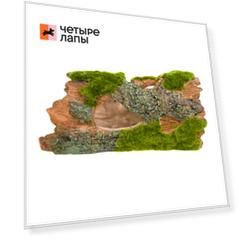 AquaFantasy Пенек со мхом 23,5*14*10,5см