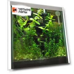 Aqua Gessa Аква Гесса Нано аквариум 10л серый