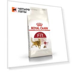 Fit 32 Regular Сухой корм для бывающих на улице кошек