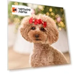 Petmax Бантики со вставкой для собак, 4х3,5 см, красный, 2 шт.