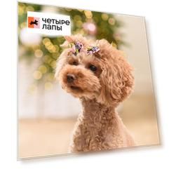 Petmax Бантик с лапками для собак, 2 шт., 3,5х3 см, розовый