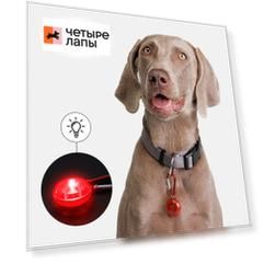 Rungo Маячок круглый светящийся с карабином на ошейник, диаметр 3 см