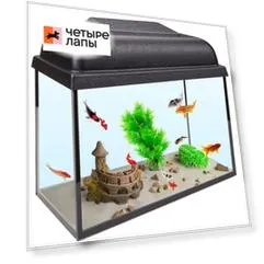 Голд Фиш Аквариум прямоугольный (10 л, 32x14,9x23 см) с крышкой
