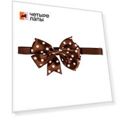 Petmax Галстук-бант коричневый в горошек