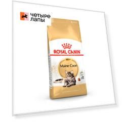Royal Canin Maine Coon Adult Сухой корм для взрослых кошек породы мейн-кун, 10 кг