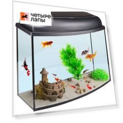 Голд Фиш Аквариум-телевизор (30 л, 46x20,1x37,5 см) с крышкой