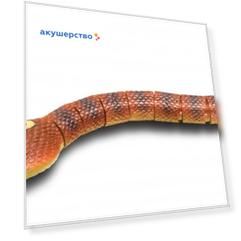 Интерактивная игрушка Eztec Змея на радиоуправлении Королевская кобра