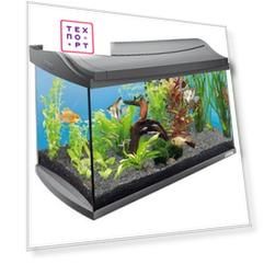 Аквариумный комплекс Tetra AquaArt Discover Line Tropical 60л