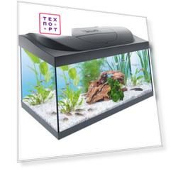 Аквариумный комплекс Tetra Starter Line LED с LED освещением 54л