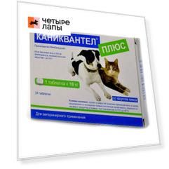 Euracon Pharma GmbH Каниквантел плюс антигельминтный препарат для собак и кошек, 24 таблетки