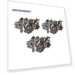 Грибы древесные Моэр-ФУНГУС (3 шт. по 100 г)