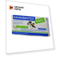 Euracon Pharma GmbH Каниквантел плюс Антигельминтный препарат для собак и кошек со вкусом мяса, 6 таблеток