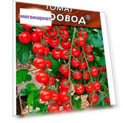 Семена овощей Аэлита томат Хоровод 0,1 г