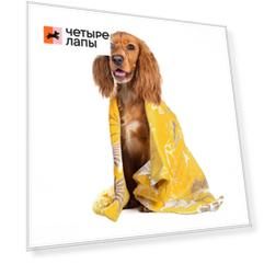 Rurri Плед Альв для кошек и собак мелких и средних пород, 75x50 см, желтый
