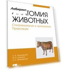 Анатомия животных. Спланхнология и ангиология. Практикум. Учебное пособие для вузов
