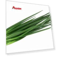 Лук репчатый зеленый лоток, 50 г