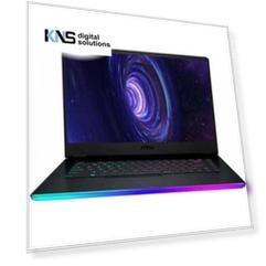 MSI GE66 Raider 10UH-613RU