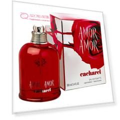 Amor Amor