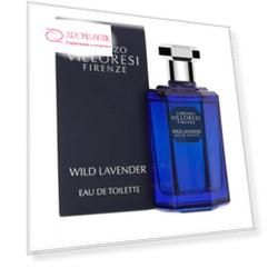Wild Lavender