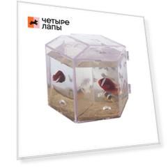 BOYU Аквариум для петушков тройной
