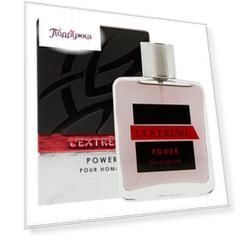Туалетная вода ART PARFUM LEXTREME POWER муж. 100 мл