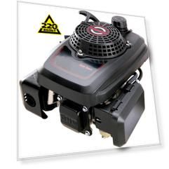 Двигатель Zongshen Xp 200 a