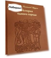 История одного города (кожа)