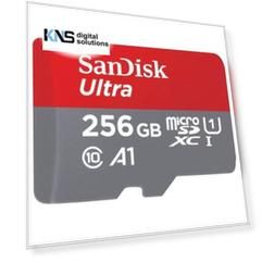 SanDisk 256GB