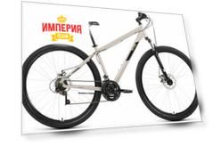 Велосипед взрослый Altair AL 29 D серый/черный (RBK22AL29246)