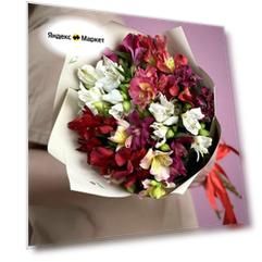 Цветы живые букет из 9 альстромерий в упаковке с лентой Flor2u