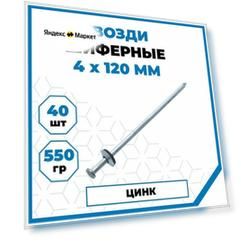 Шиферные гвозди 4х120 мм, оцинкованные, 40 шт.